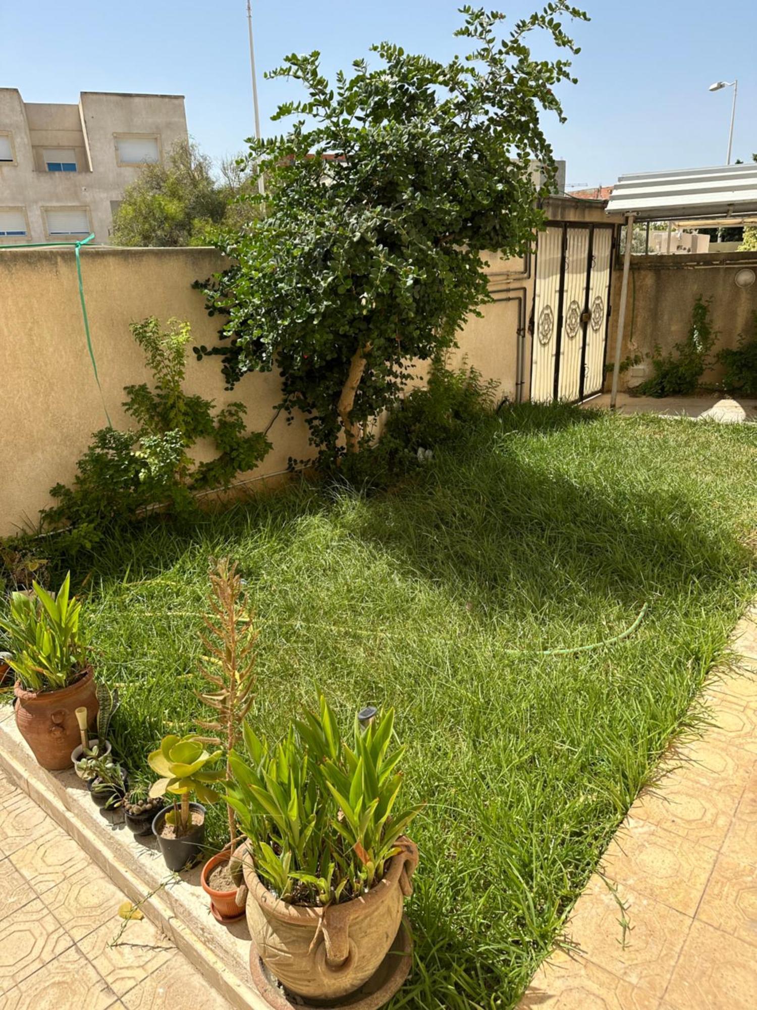 Garden House Jardin De Carthage Apartment Sidi Daoud Ngoại thất bức ảnh
